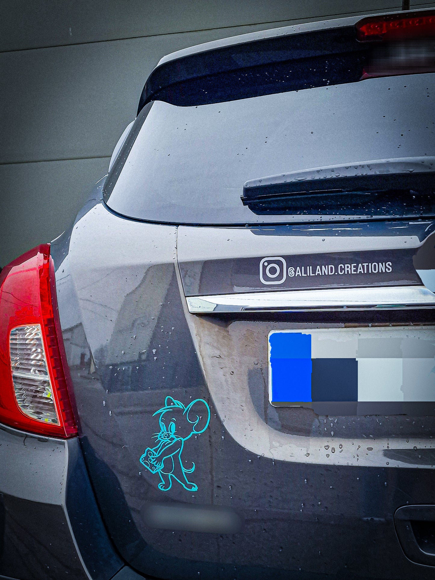 Sticker voiture